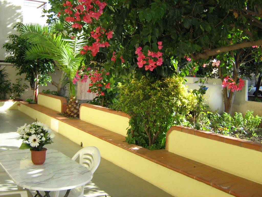 Flowered courtyard at B&B Al Cedir