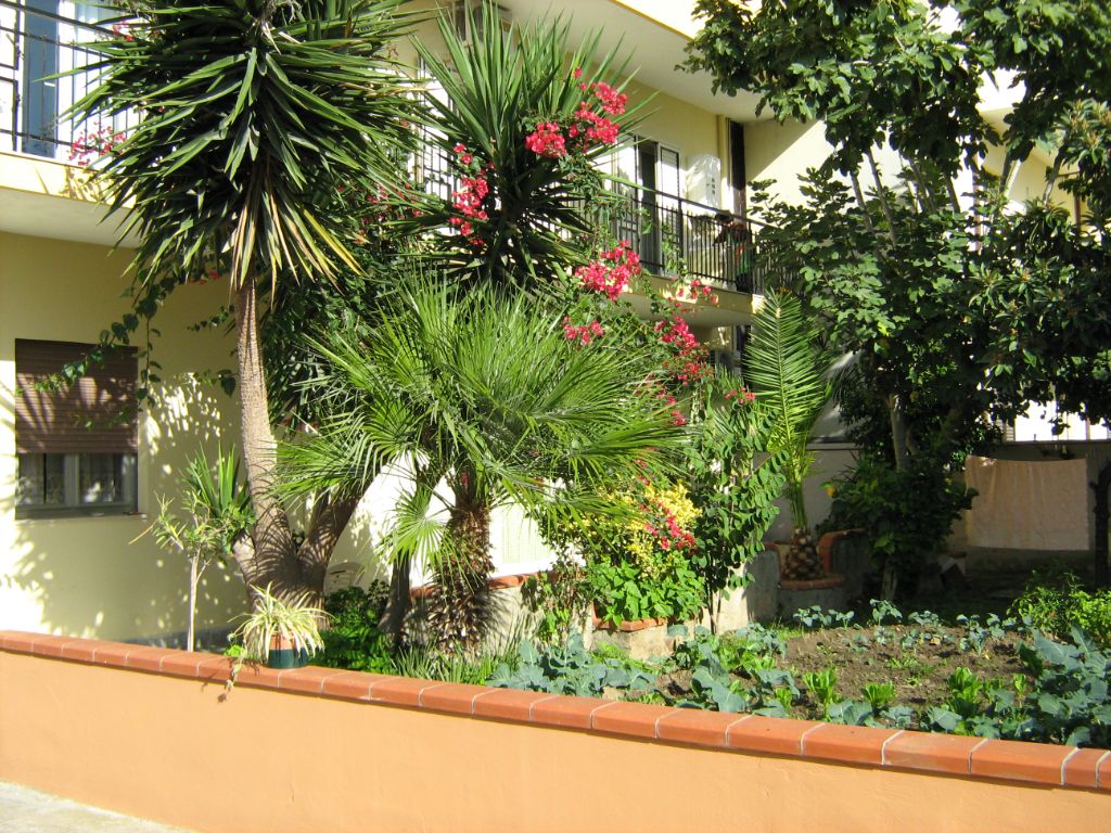 Flowered courtyard at B&B Al Cedir 3